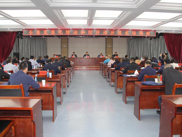 全省荒漠化防治和防沙治沙技術(shù)培訓班在甘肅建投成功舉辦 全省荒漠化防治和防沙治沙技術(shù)培訓班在甘肅建投成功舉辦
