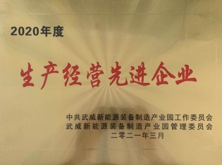 2020年度武威市新能源裝備產(chǎn)業(yè)園生產(chǎn)經(jīng)營先進企業(yè)